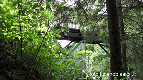 Reportage Di Tiziano E Miranda Biasioli Sulla Antica Strada Greola Da Valle A Perarolo Di Cadore