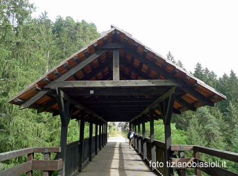 Reportage Di Tiziano E Miranda Biasioli Sulla Antica Strada Greola Da Valle A Perarolo Di Cadore