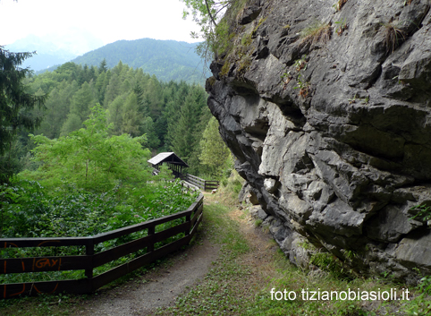 Reportage Di Tiziano E Miranda Biasioli Sulla Antica Strada Greola Da Valle A Perarolo Di Cadore